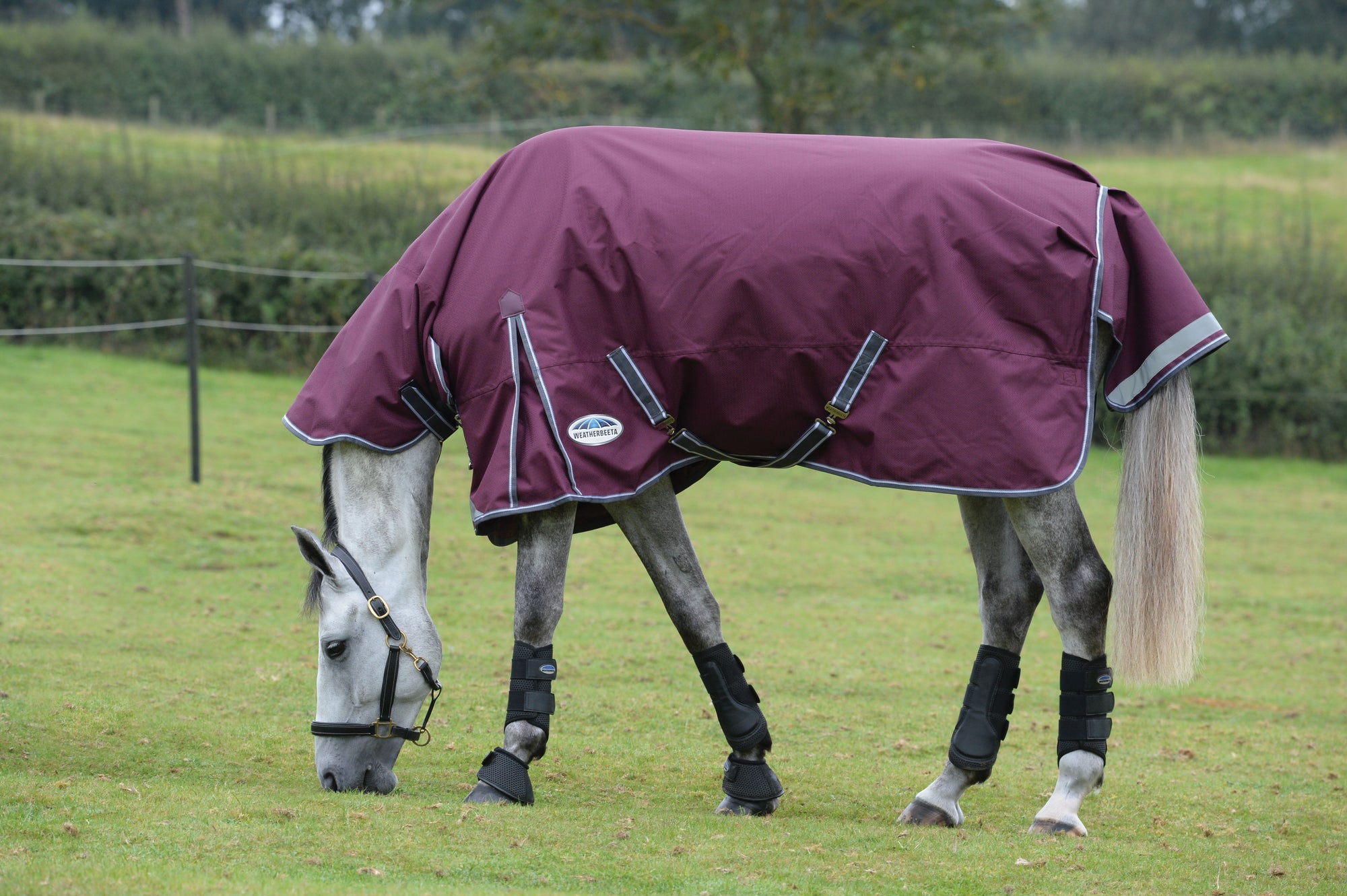 Weatherbeeta Comfitec Plus Dynamic II Combo Medium Turnout Rug (220g) - Maroon
