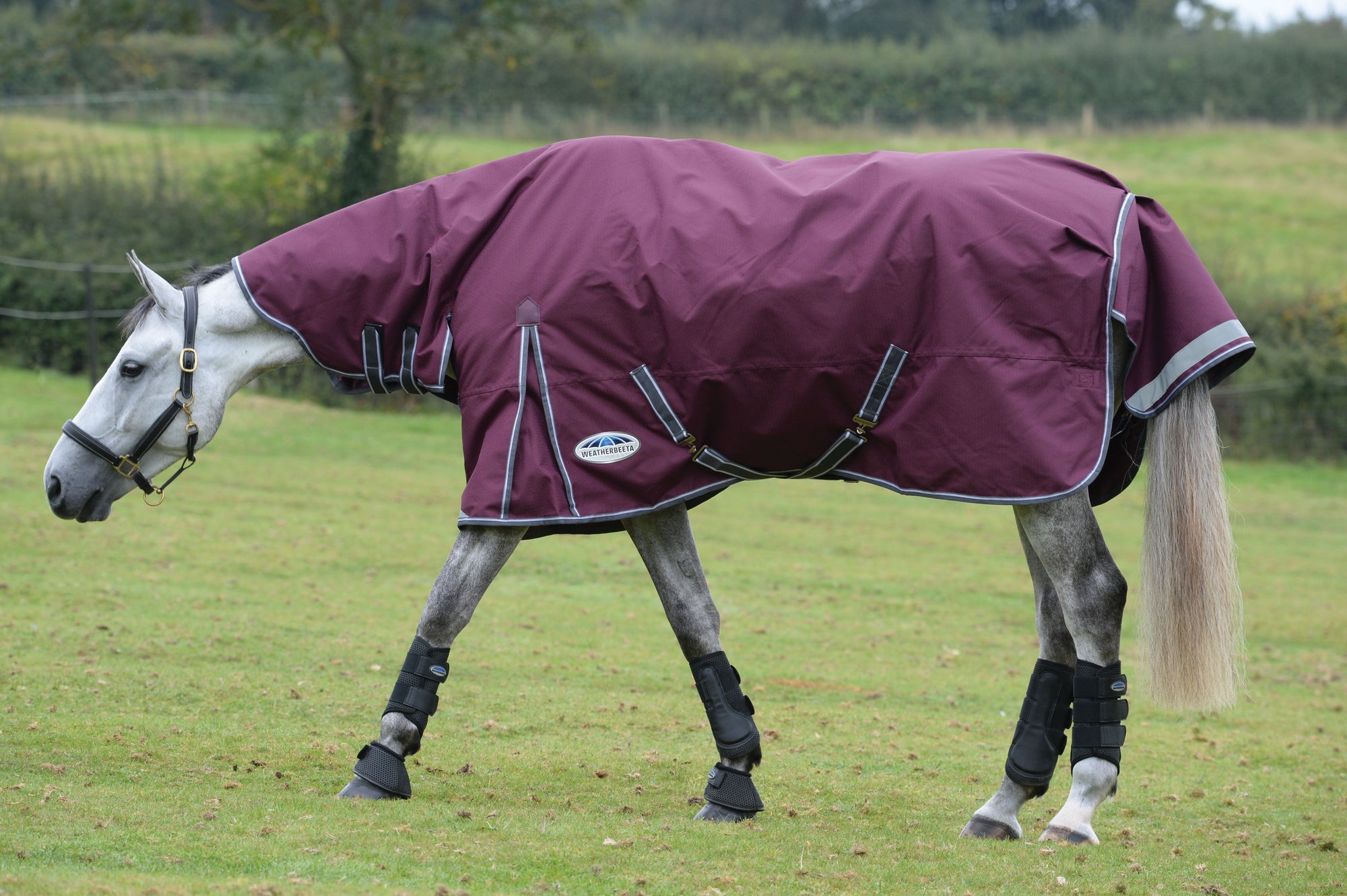 Weatherbeeta Comfitec Plus Dynamic II Combo Medium Turnout Rug (220g) - Maroon