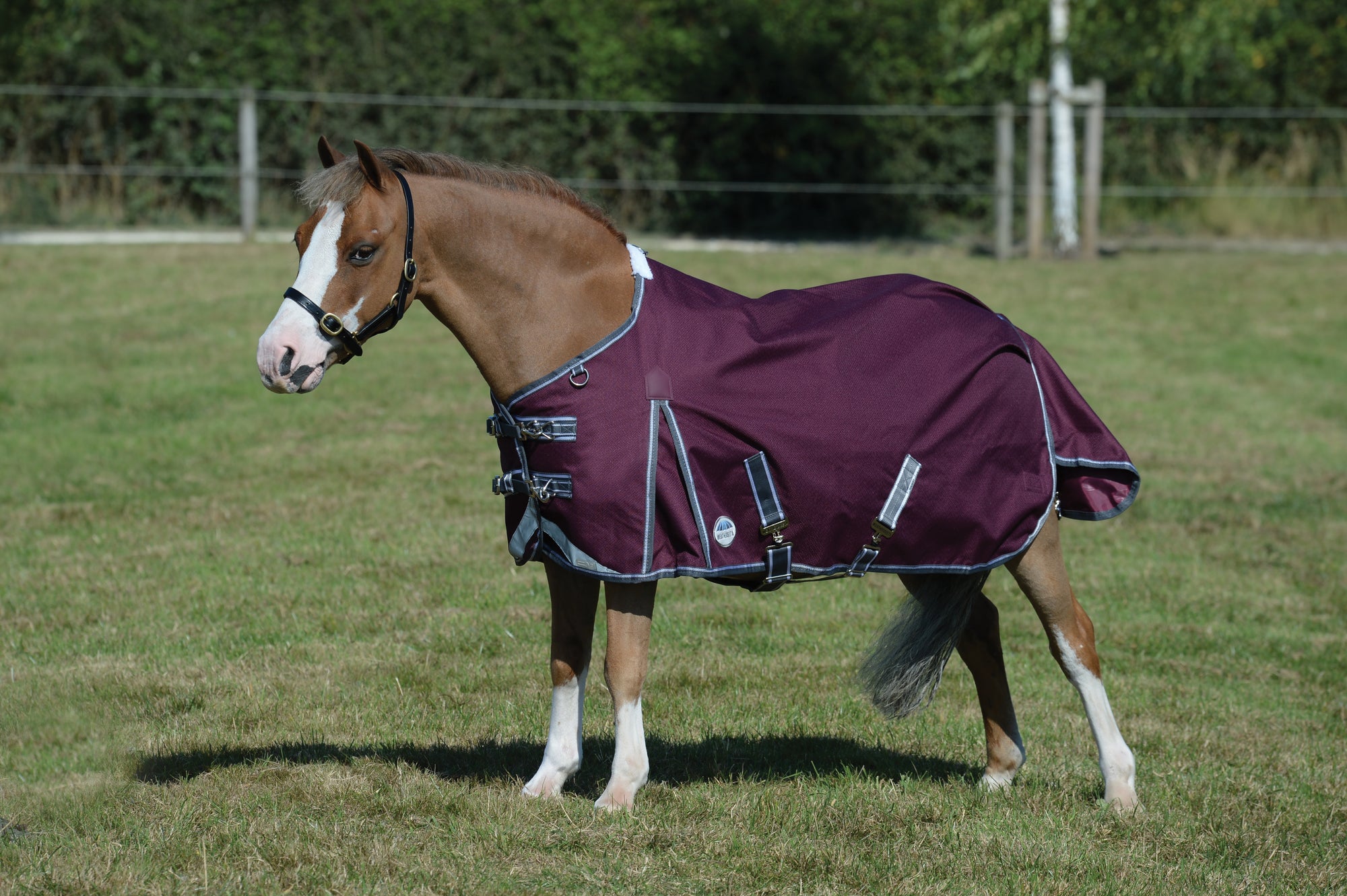 Weatherbeeta Comfitec Plus Dynamic II Standard Neck Lite Turnout Rug -Maroon