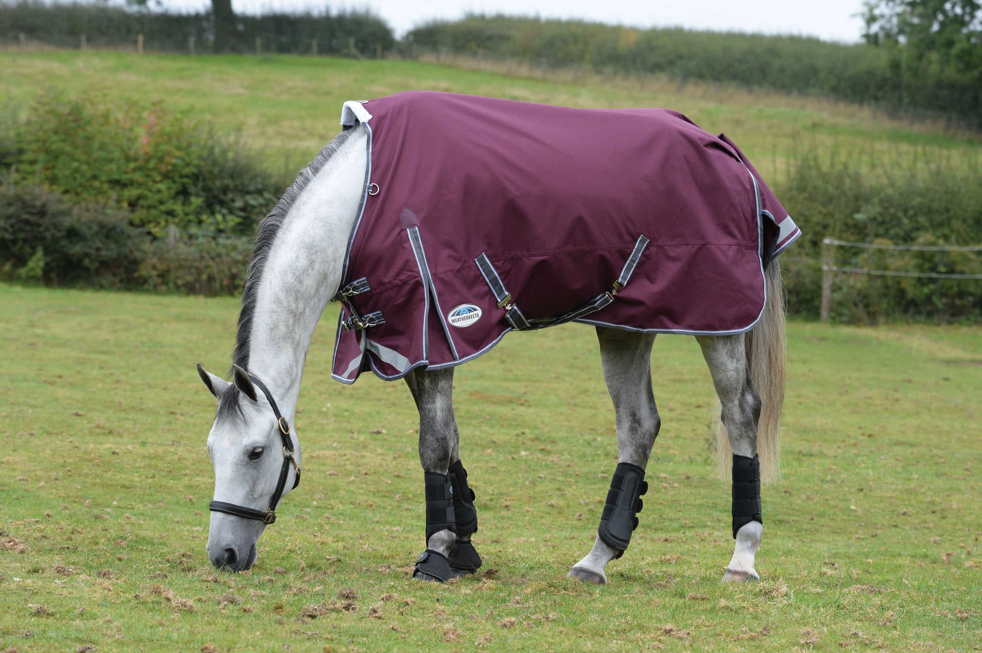 Weatherbeeta Comfitec Plus Dynamic II Standard Neck Lite Turnout Rug -Maroon