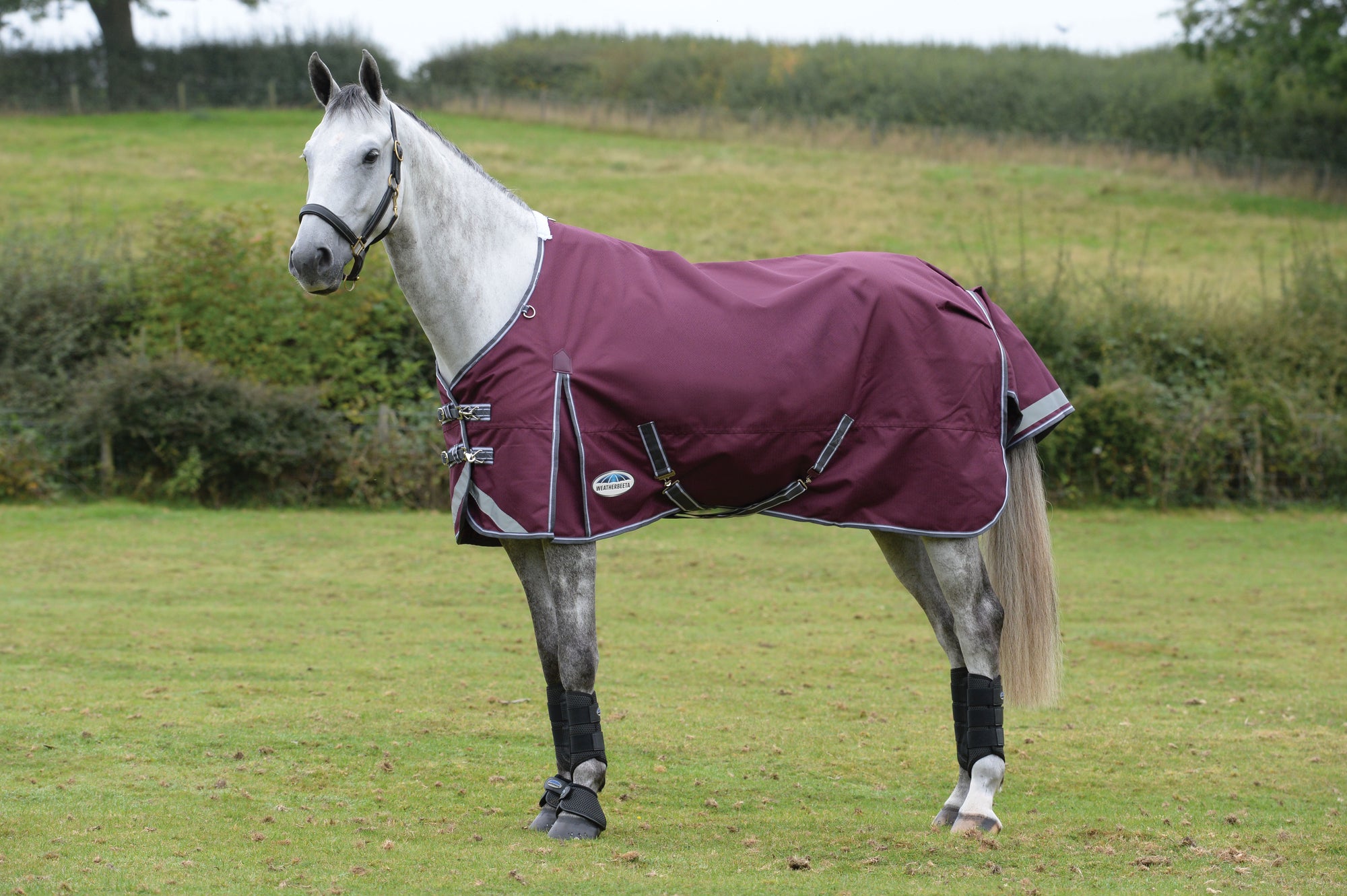 Weatherbeeta Comfitec Plus Dynamic II Standard Neck Lite Turnout Rug -Maroon
