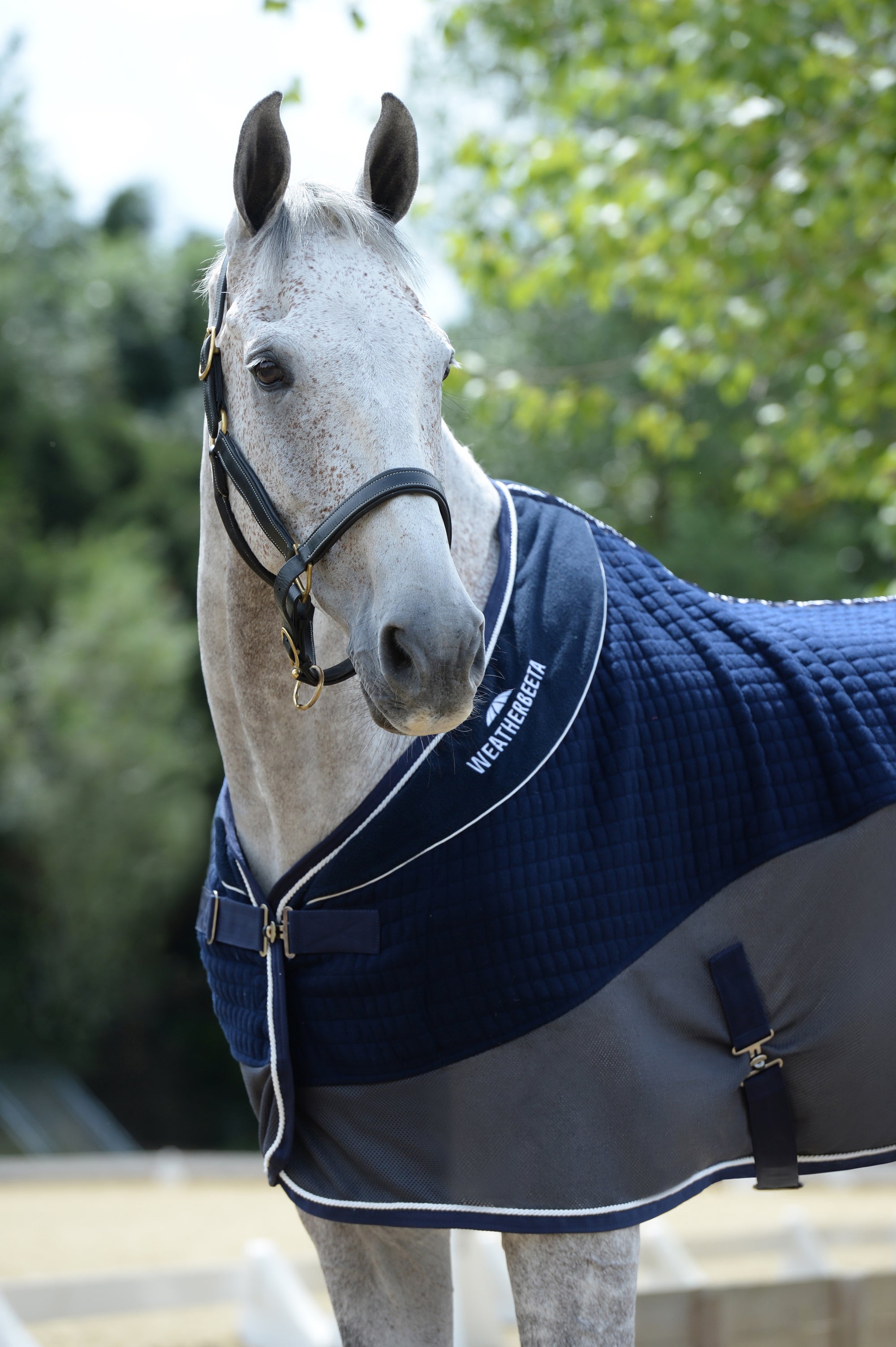Weatherbeeta Thermo-Air Cooler Standard Neck - Navy