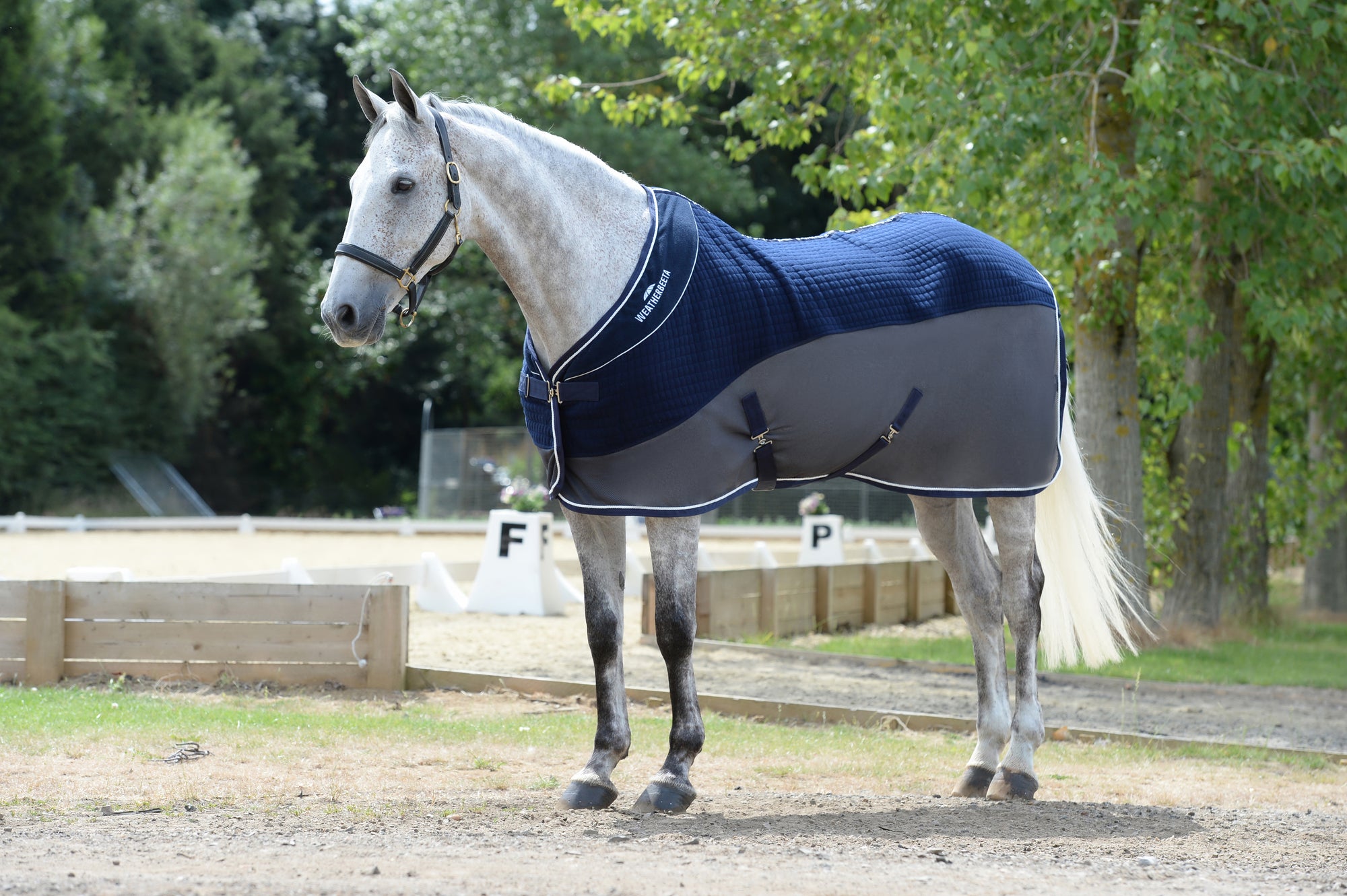 Weatherbeeta Thermo-Air Cooler Standard Neck - Navy