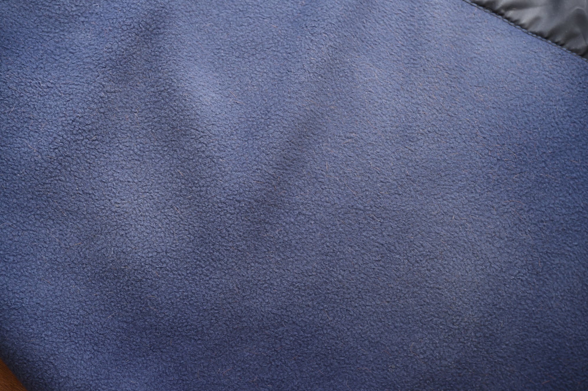 Weatherbeeta Opulence Show Sheet Standard Neck -Navy