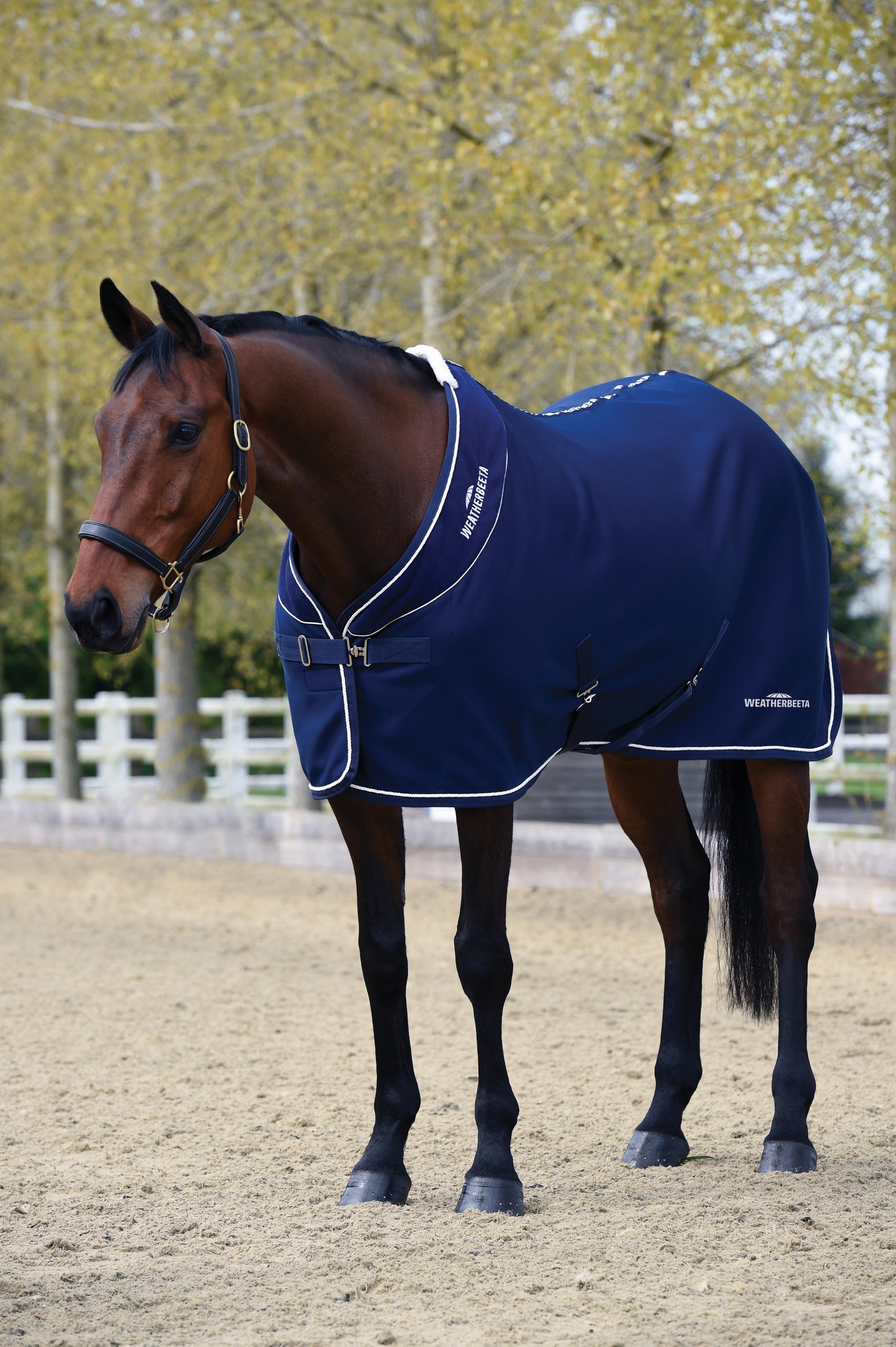 Weatherbeeta Opulence Show Sheet Standard Neck -Navy