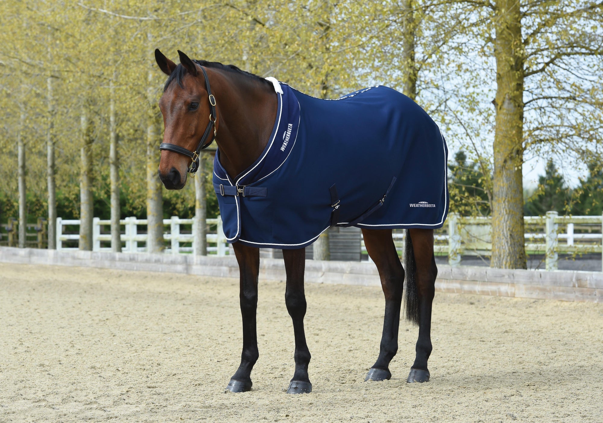 Weatherbeeta Opulence Show Sheet Standard Neck -Navy