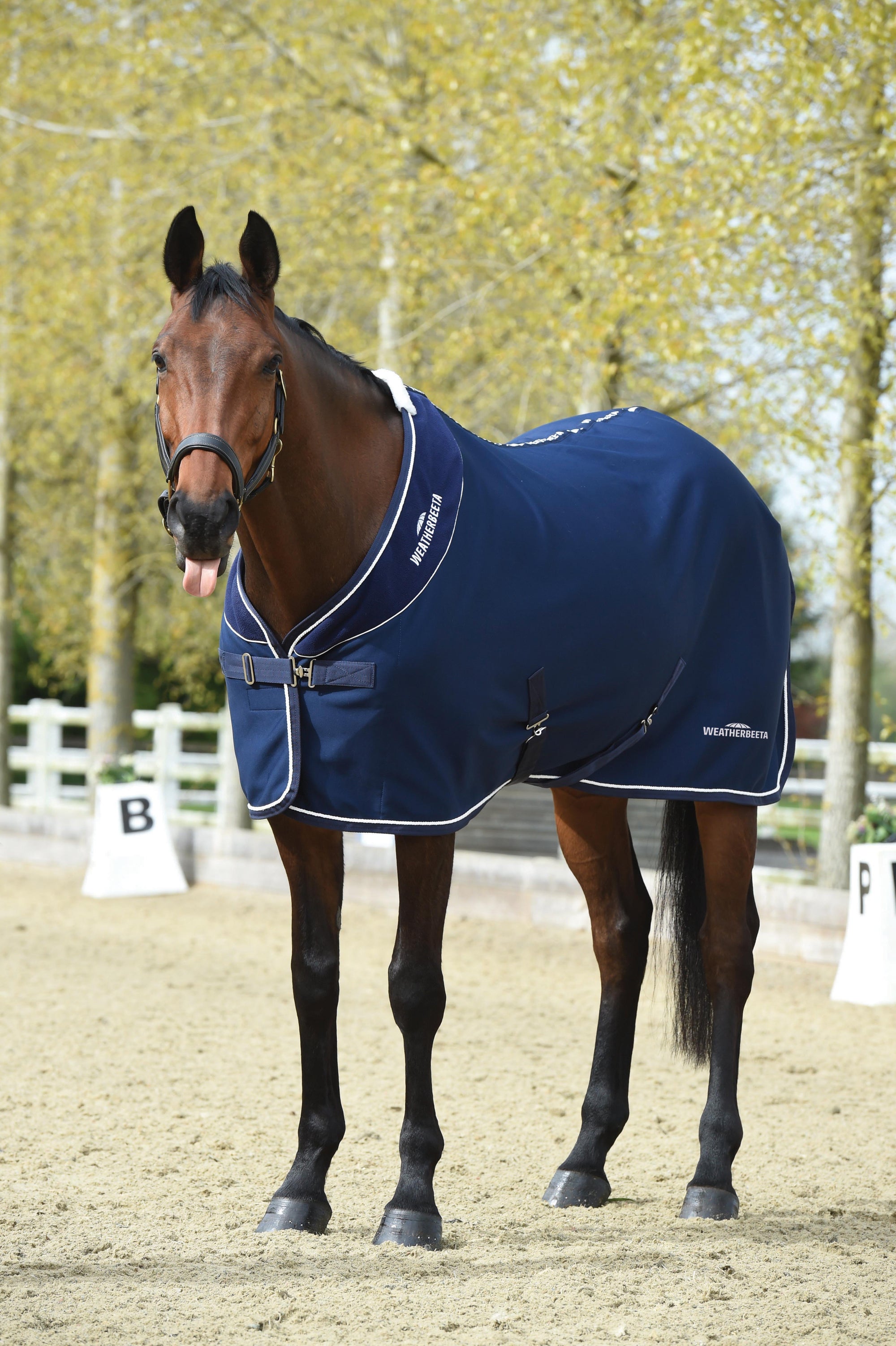 Weatherbeeta Opulence Show Sheet Standard Neck -Navy
