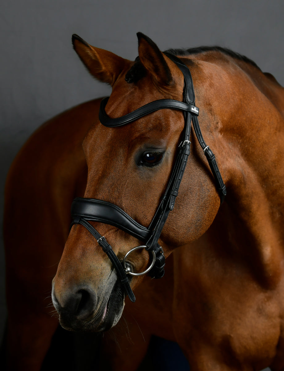 Collegiate Comfitec Opulux Padded Dressage Bridle - Black