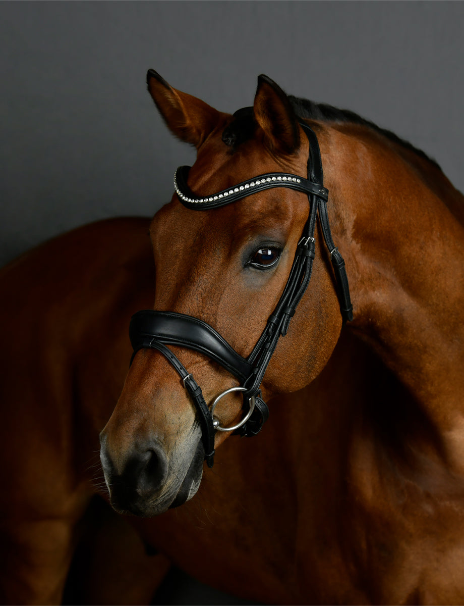 Collegiate Comfitec Opulux Padded Dressage Bridle - Black