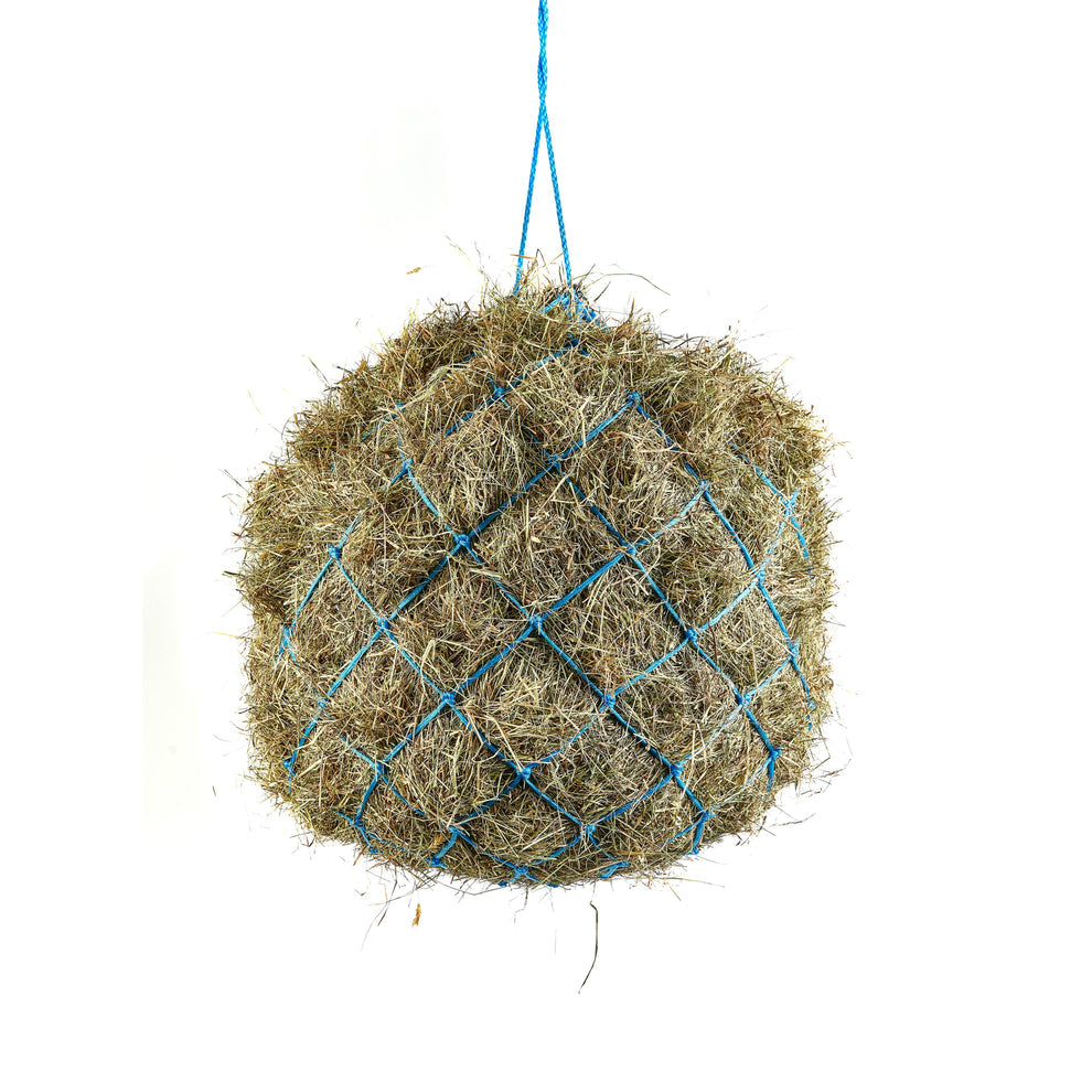 Haynet