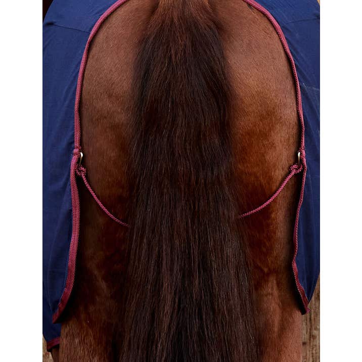 Weatherbeeta Cotton Sheet Standard Neck - Navy