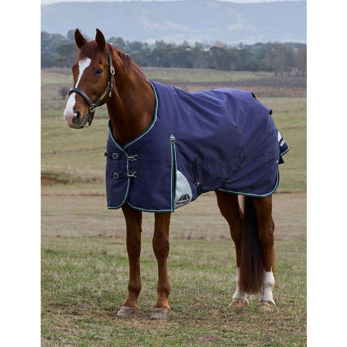 Weatherbeeta ComFiTec Plus Dynamic Turnout 100G