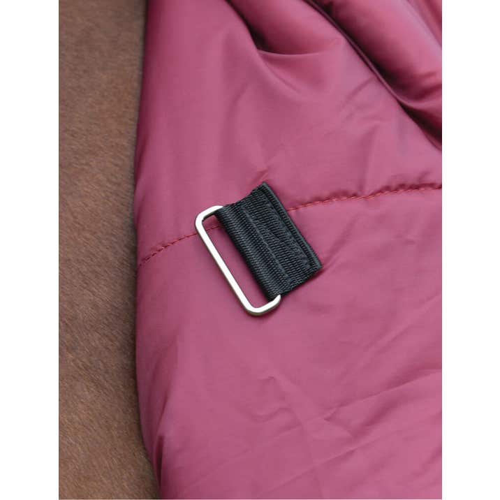 Weatherbeeta ComFiTec Prelim Turnout 0G - Burgundy