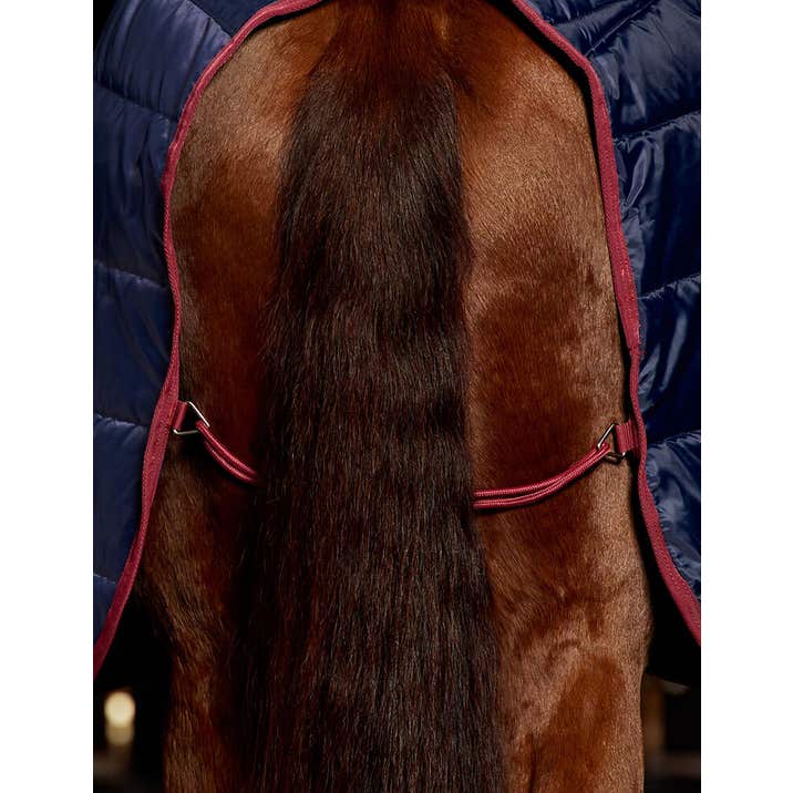 Weatherbeeta ComFiTec 210D Channel Quilt Stable Combo Neck 100G- Navy