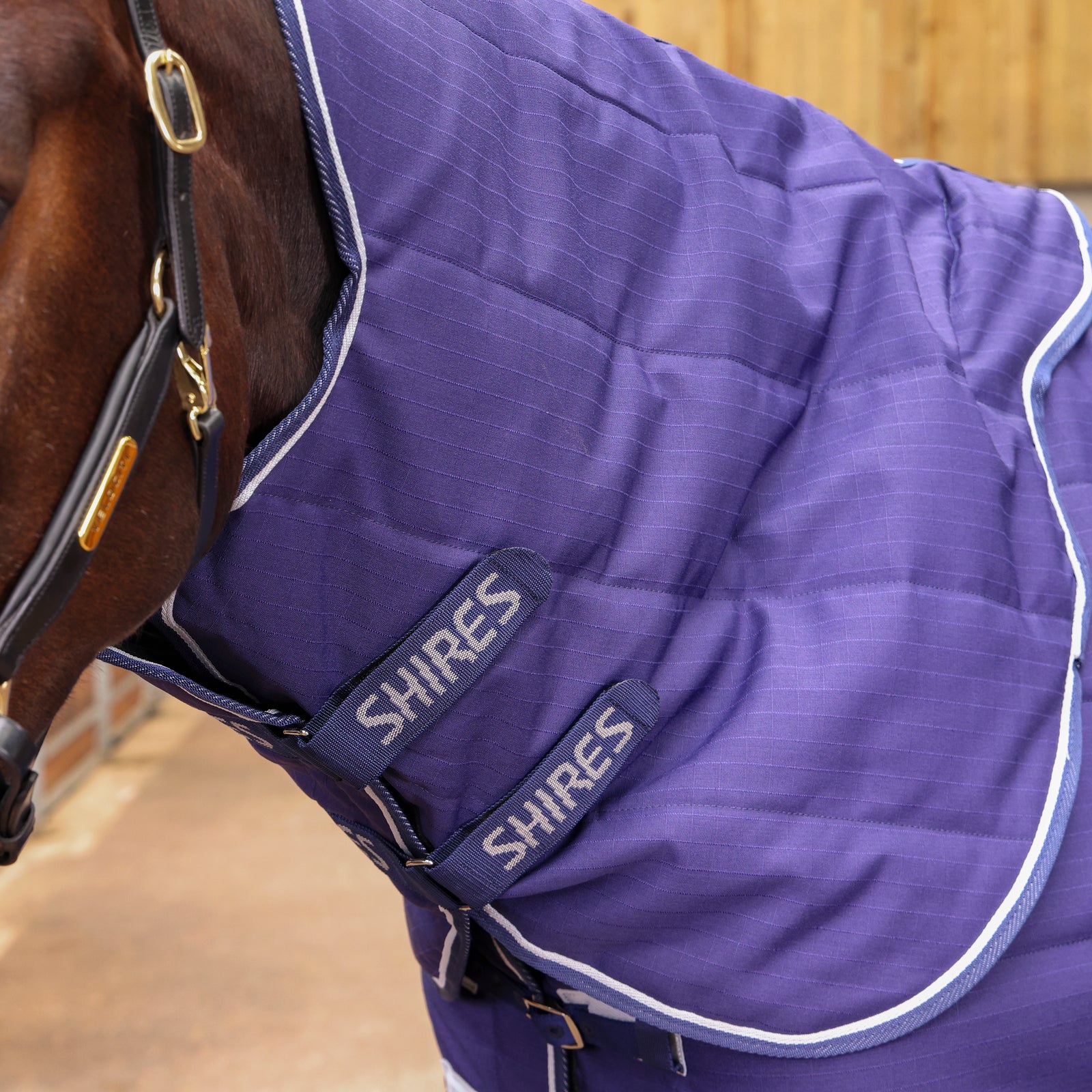 Tempest Original 100 Stable Rug & Neck Set - Navy