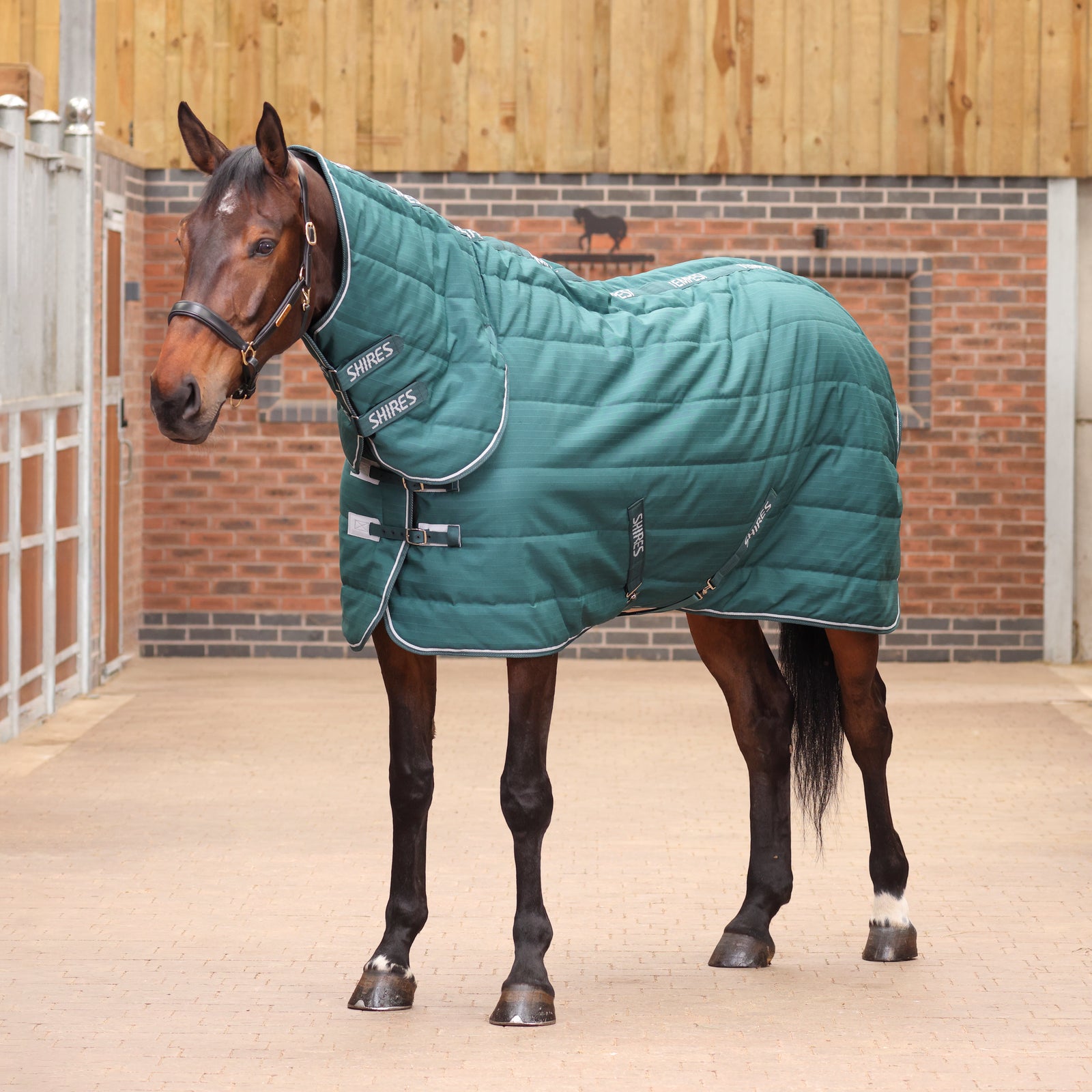 Tempest Original 200 Stable Rug & Neck - Emerald