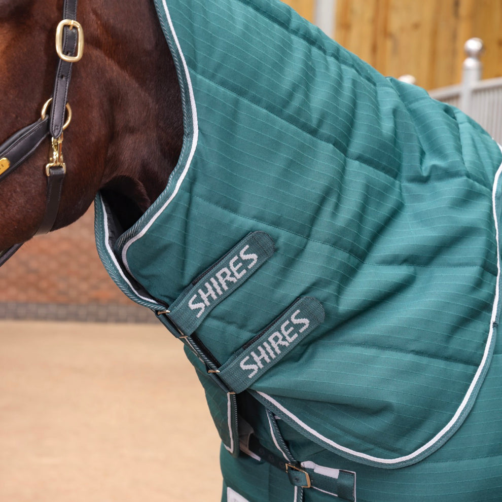 Tempest Original 200 Stable Rug & Neck - Emerald