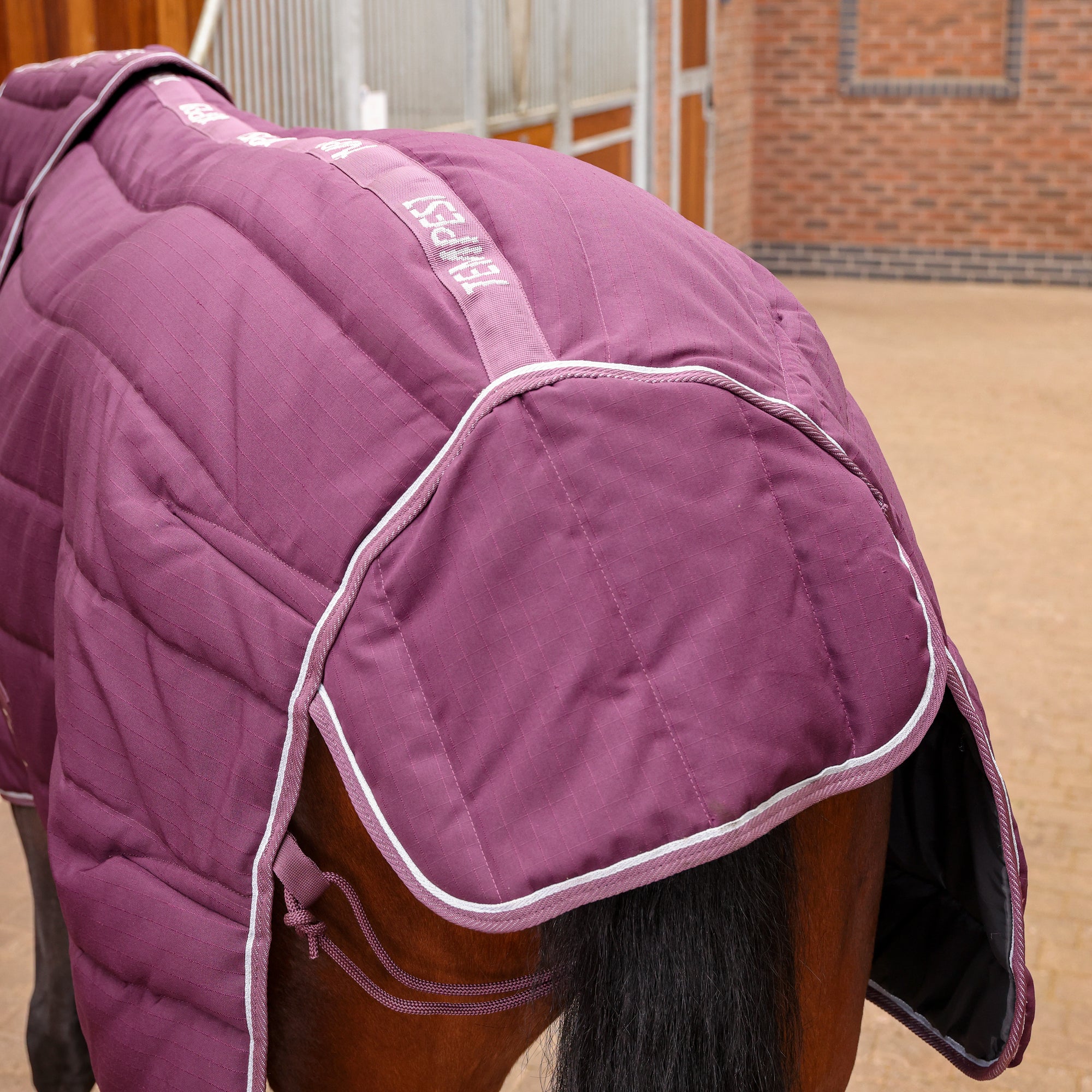 Tempest Original 300 Stable Rug & Neck -Burgundy
