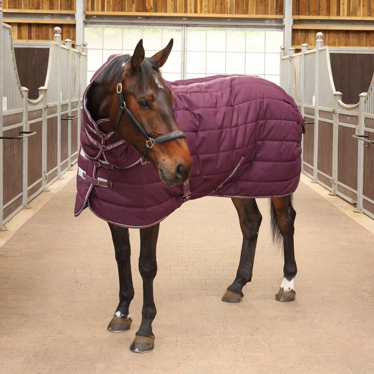 Tempest Original 300 Stable Rug & Neck -Burgundy