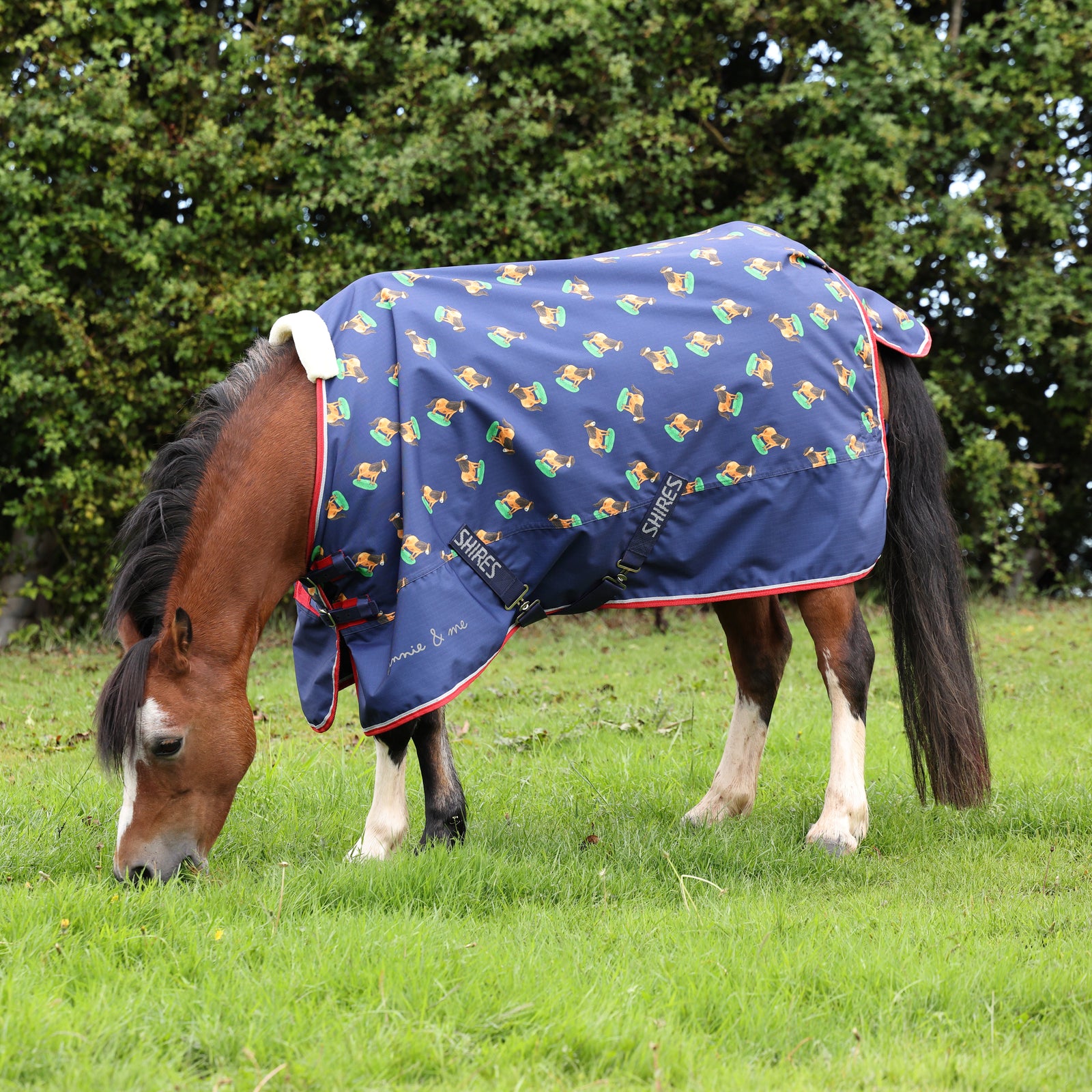 Winnie & Me Lite Turnout Rug - Navy