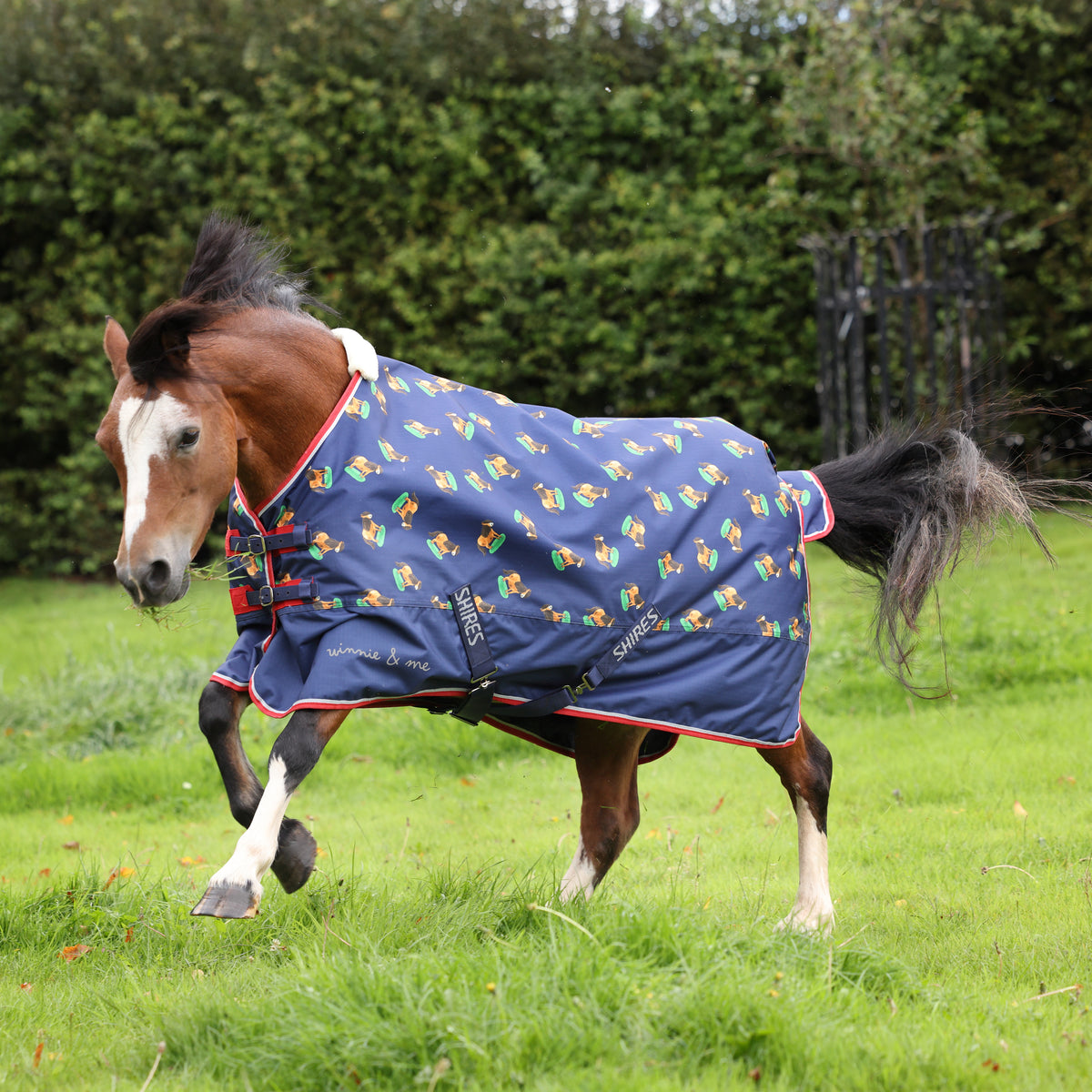 Winnie & Me Lite Turnout Rug - Navy