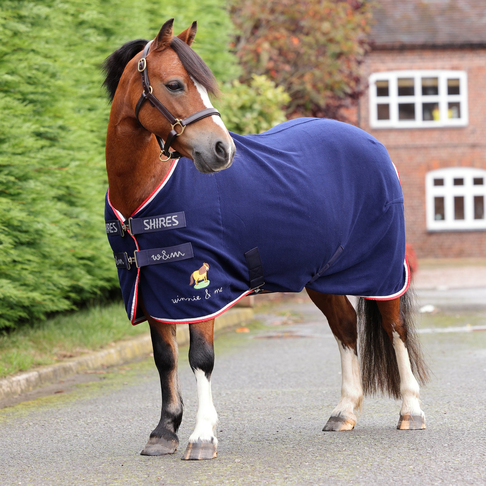 Winnie & Me Fleece Rug -Navy