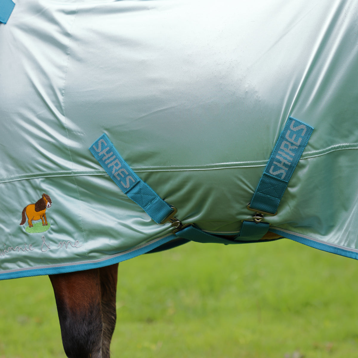 Winnie & Me Fly Combo Rug