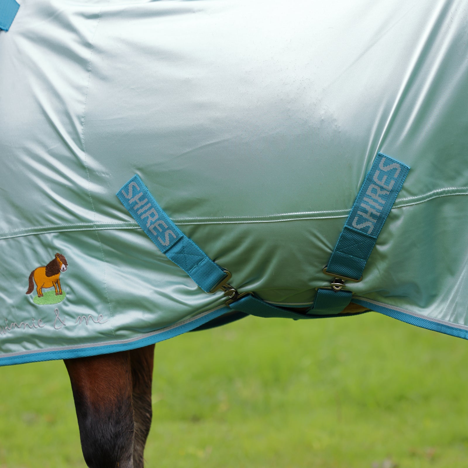 Winnie & Me Fly Combo Rug