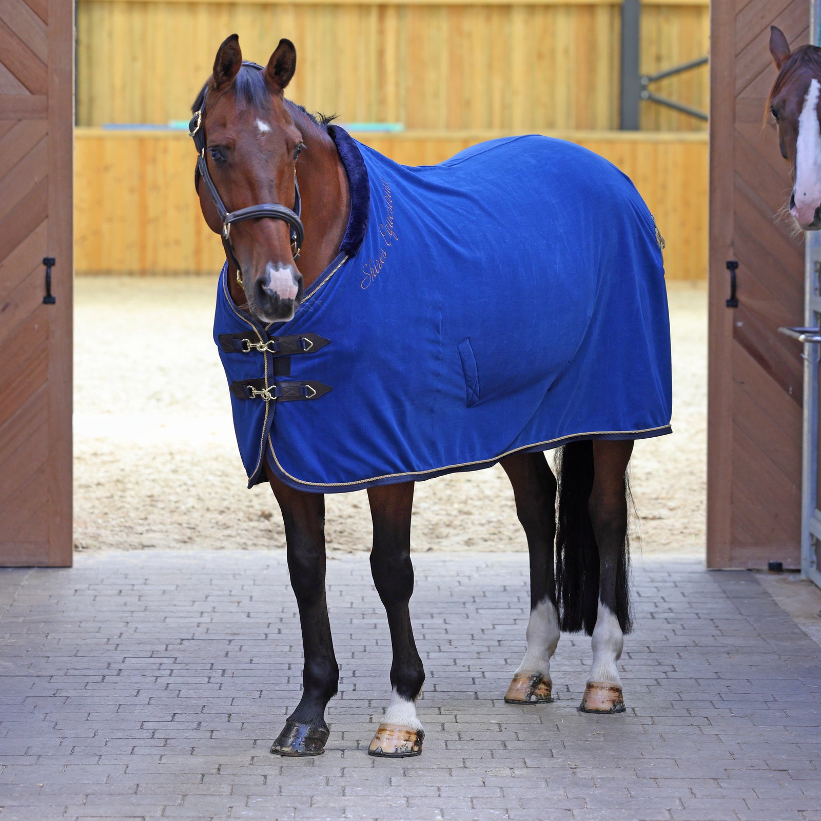 Shires Deluxe Fleece Show Rug - Navy