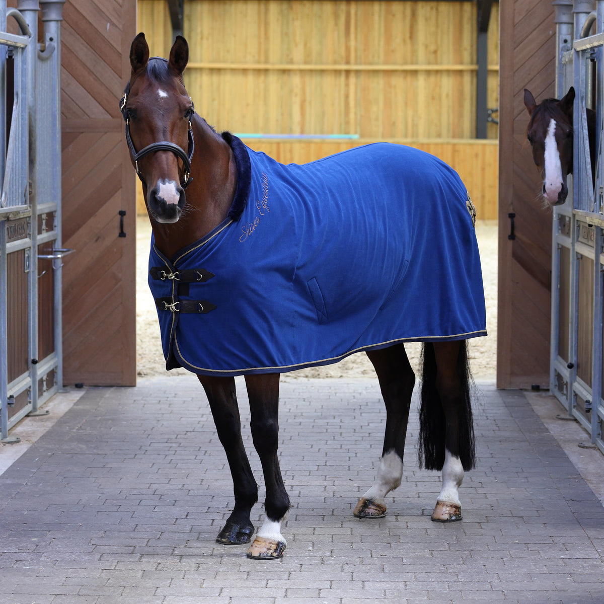 Shires Deluxe Fleece Show Rug - Navy