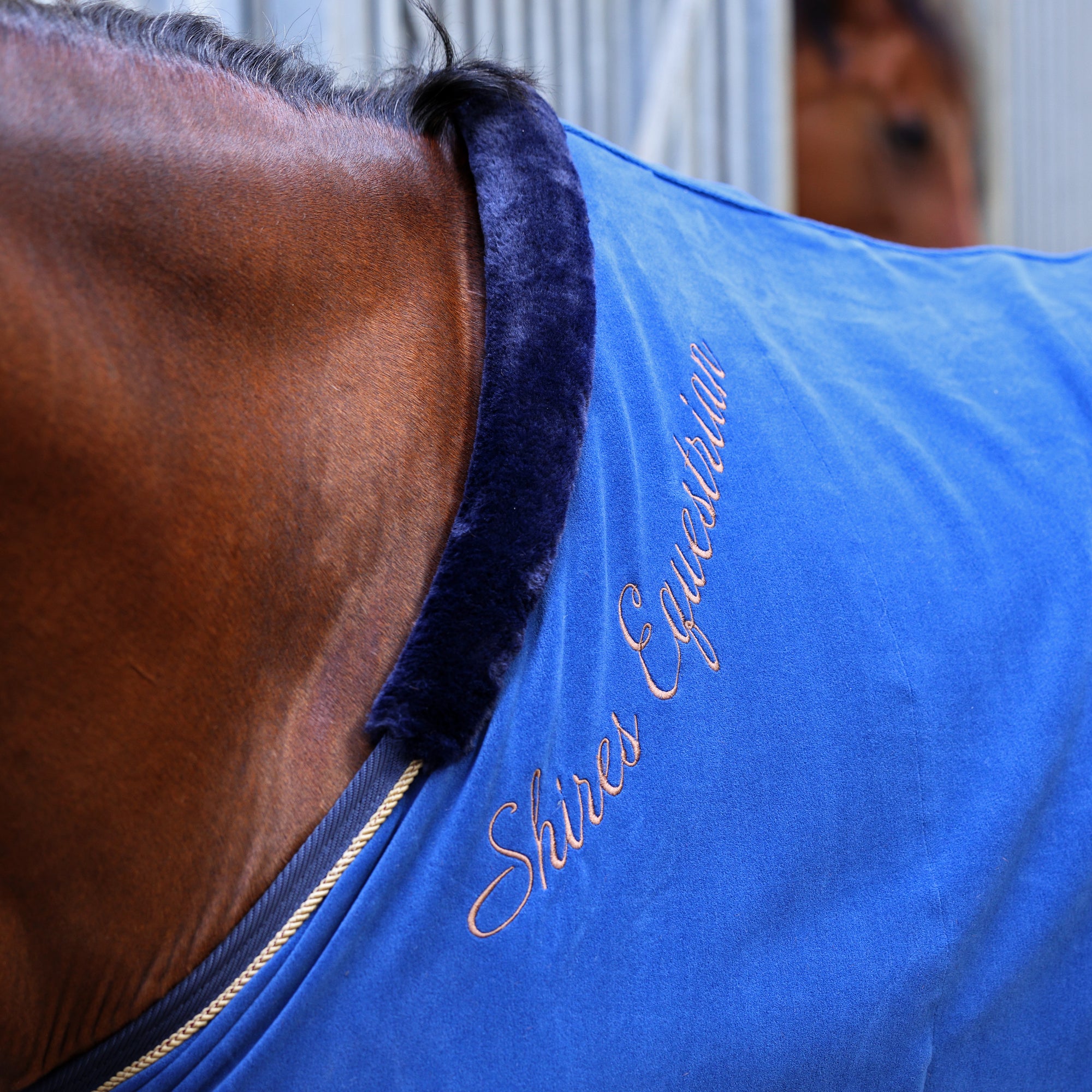 Shires Deluxe Fleece Show Rug - Navy