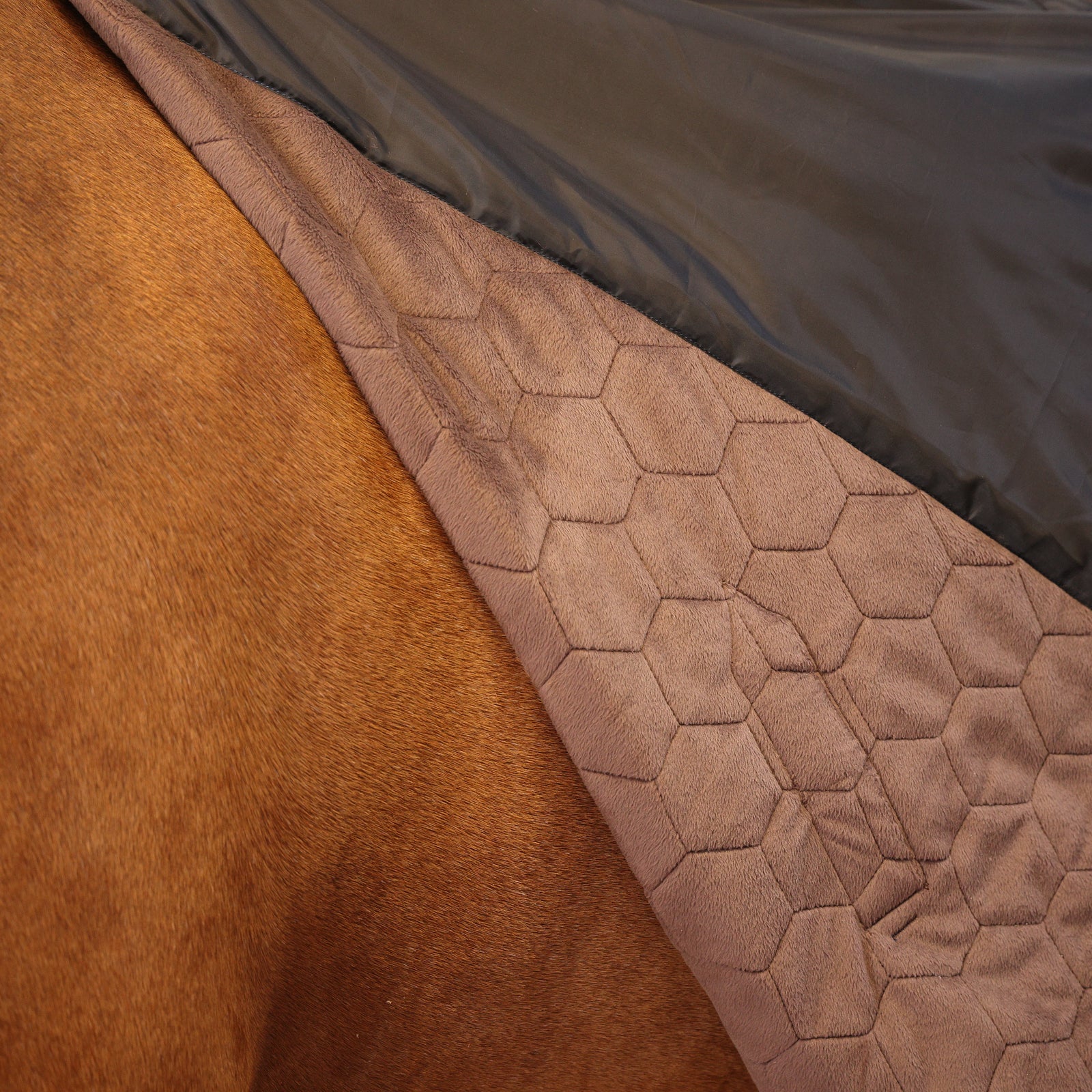 Shires Deluxe Quilted Rug - Navy