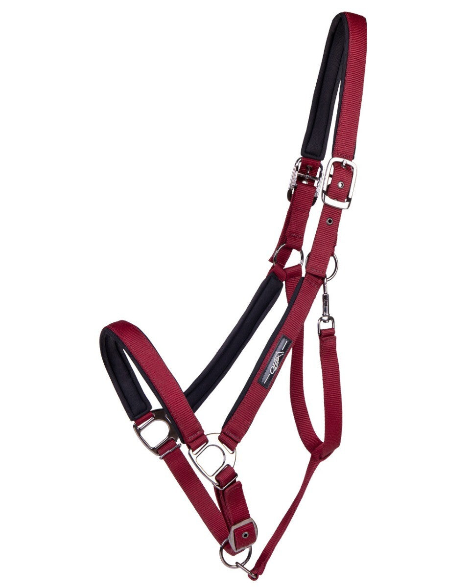 Shire Horse Deluxe Headcollar