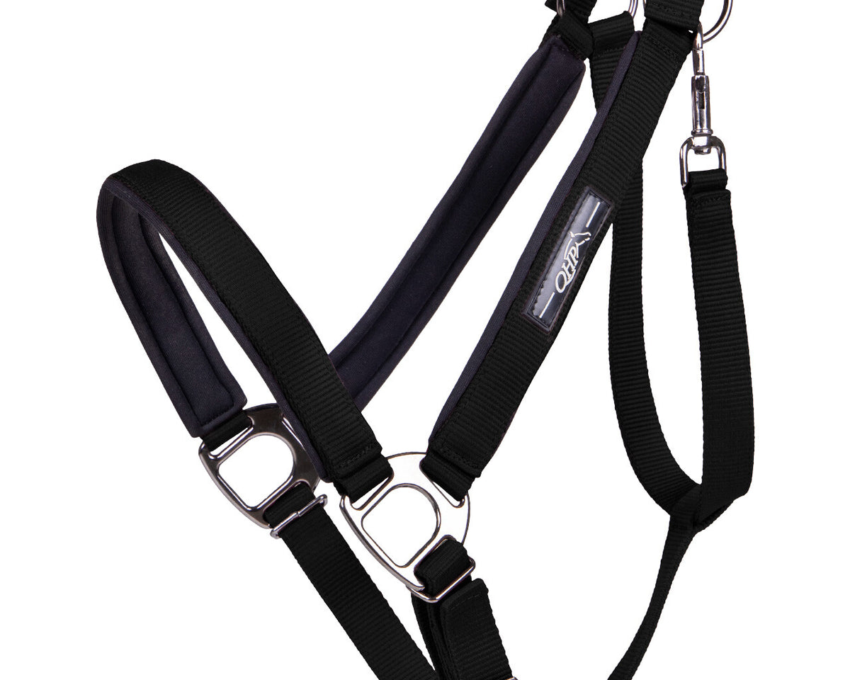 Shire Horse Deluxe Headcollar