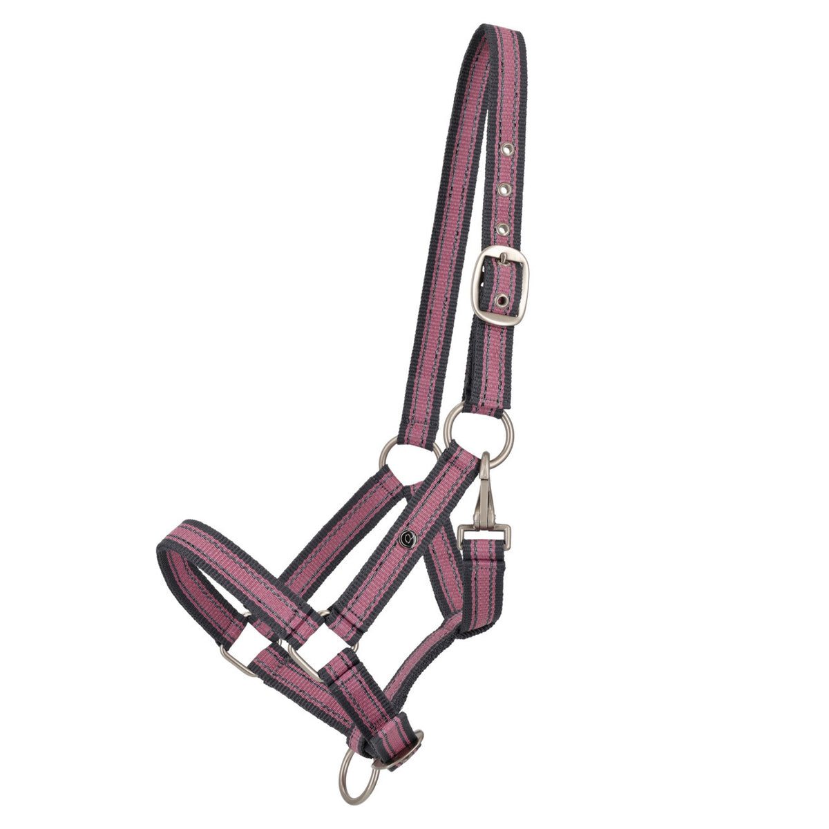 Yearling Headcollar