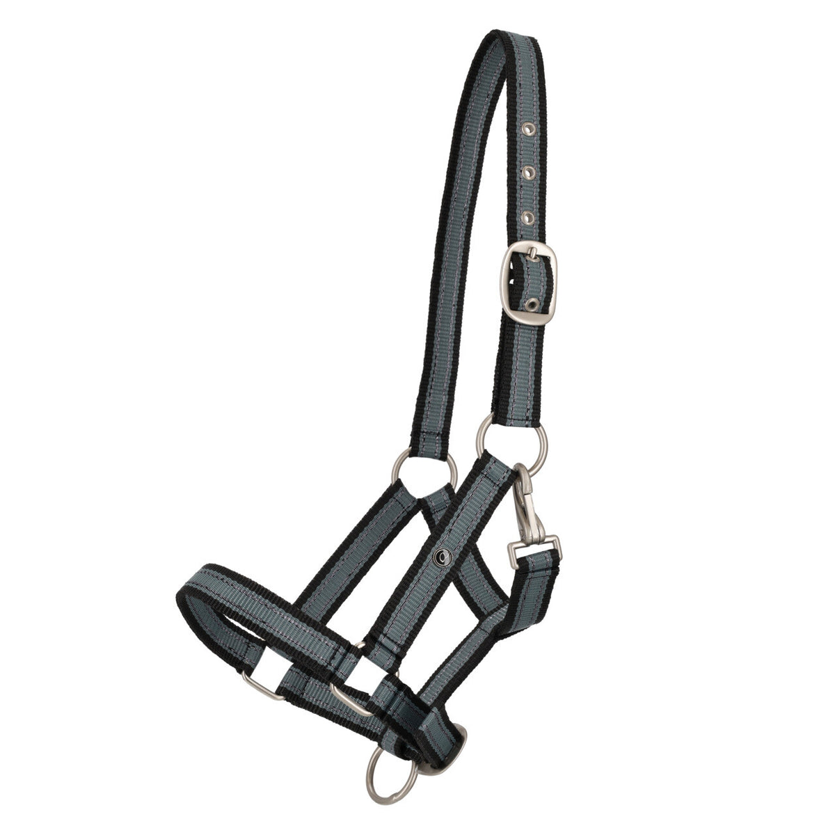 Yearling Headcollar