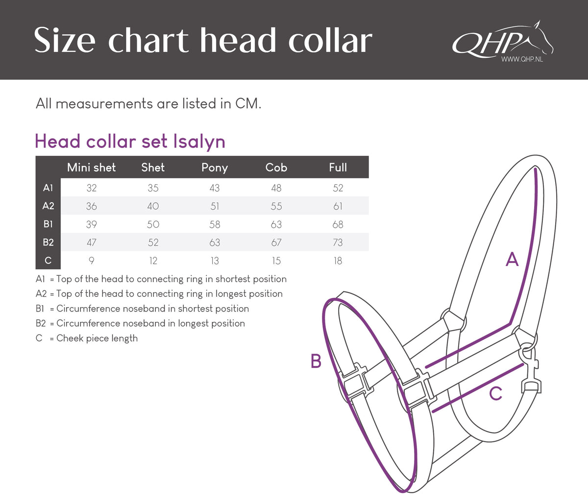 Isalyn Headcollar Set