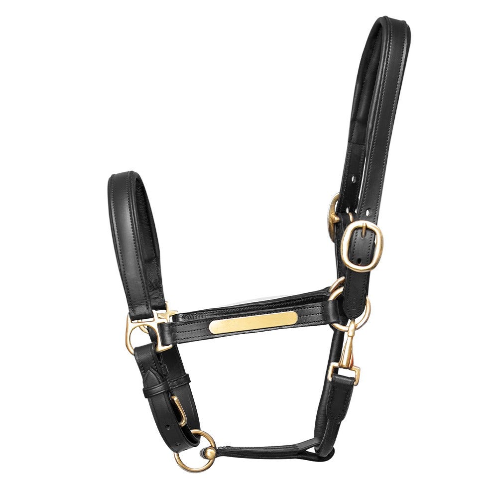 Hy Equestrian Leather Head Collar