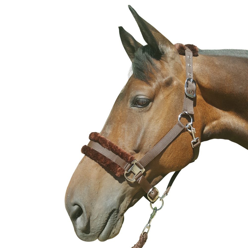 Hy Equestrian Faux Fur Padded Head Collar with Lead Rope