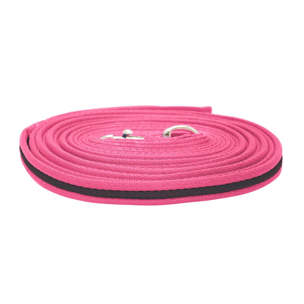 Hy Equestrian Soft Webbing Lunge Rein