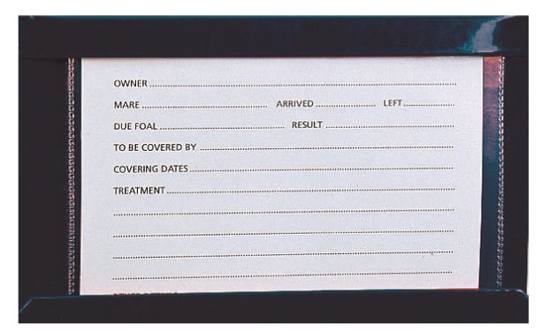 STUBBS Stud Card Holder (S27)