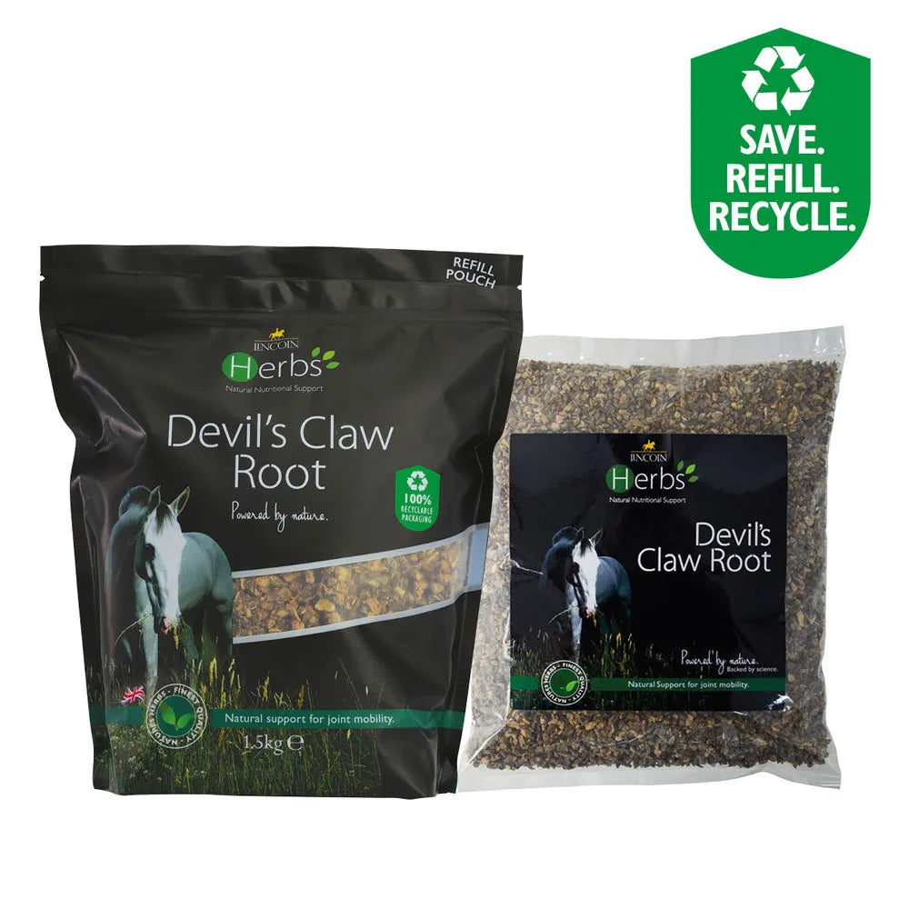 Lincoln Herbs Devils Claw Root