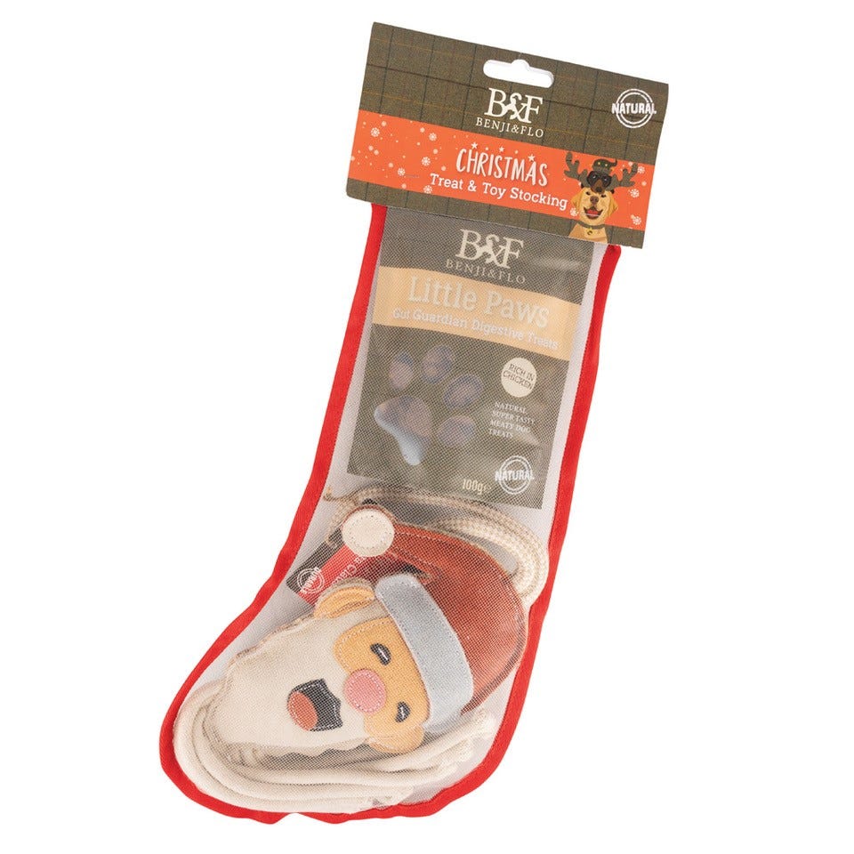 Benji &amp; Flo Christmas Treat &amp; Toy Stocking