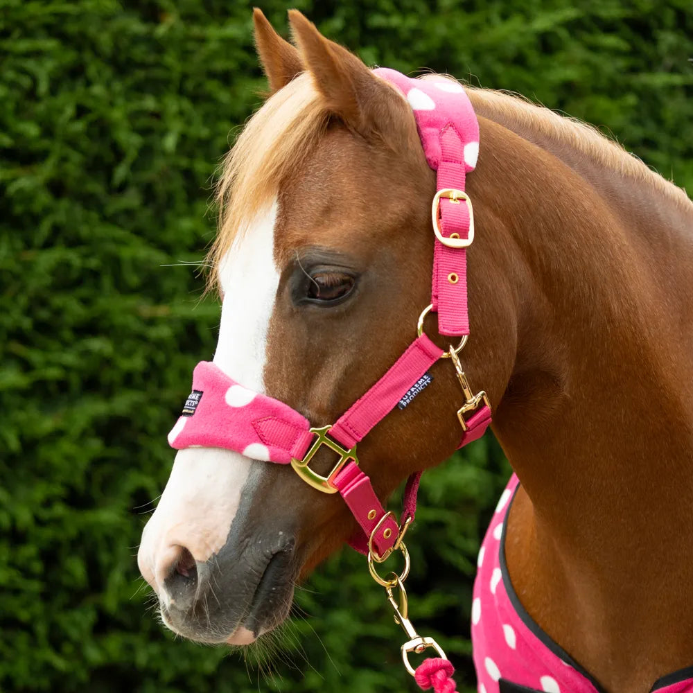 Supreme Products Dotty Fleece Head Collar &amp; Lead Rope