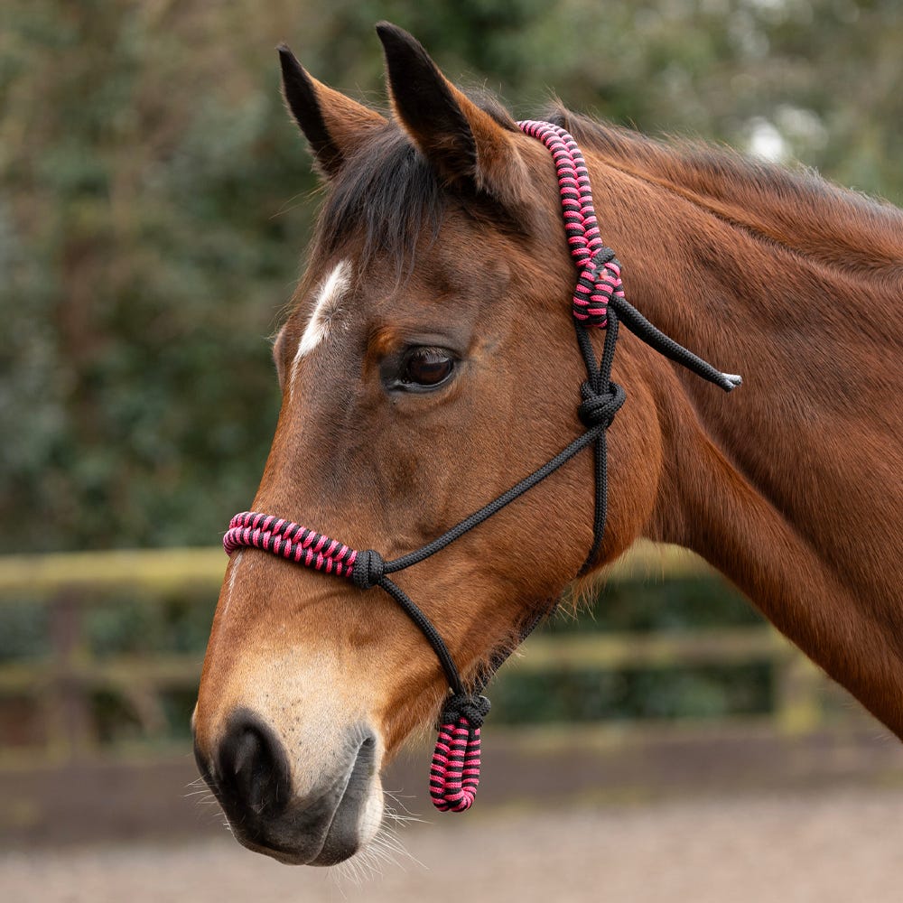 Hy Equestrian Double Braid Rope Halter