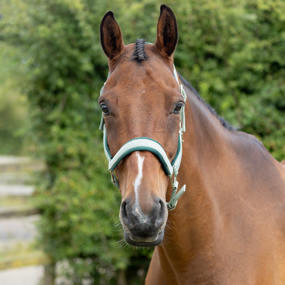 Hy Equestrian Mermaid Shimmer Head Collar and Lead Rope Set