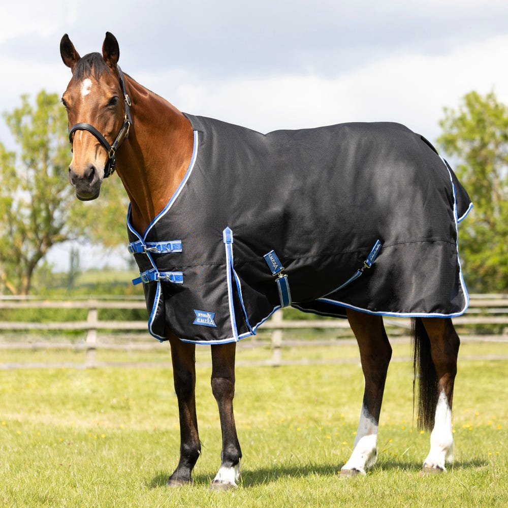 StormX Empra Extra 100g Turnout Rug