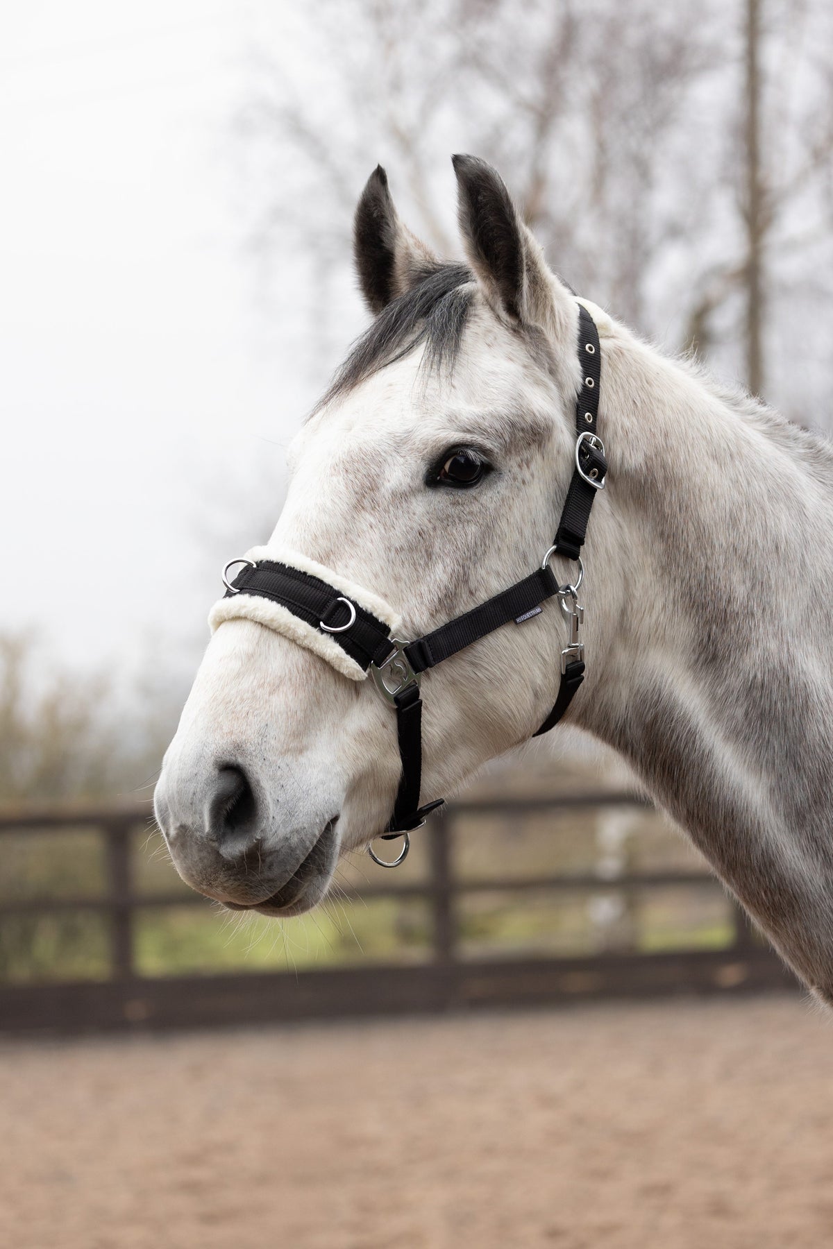 Hy Equestrian Fleece Lined Lunge Cavesson