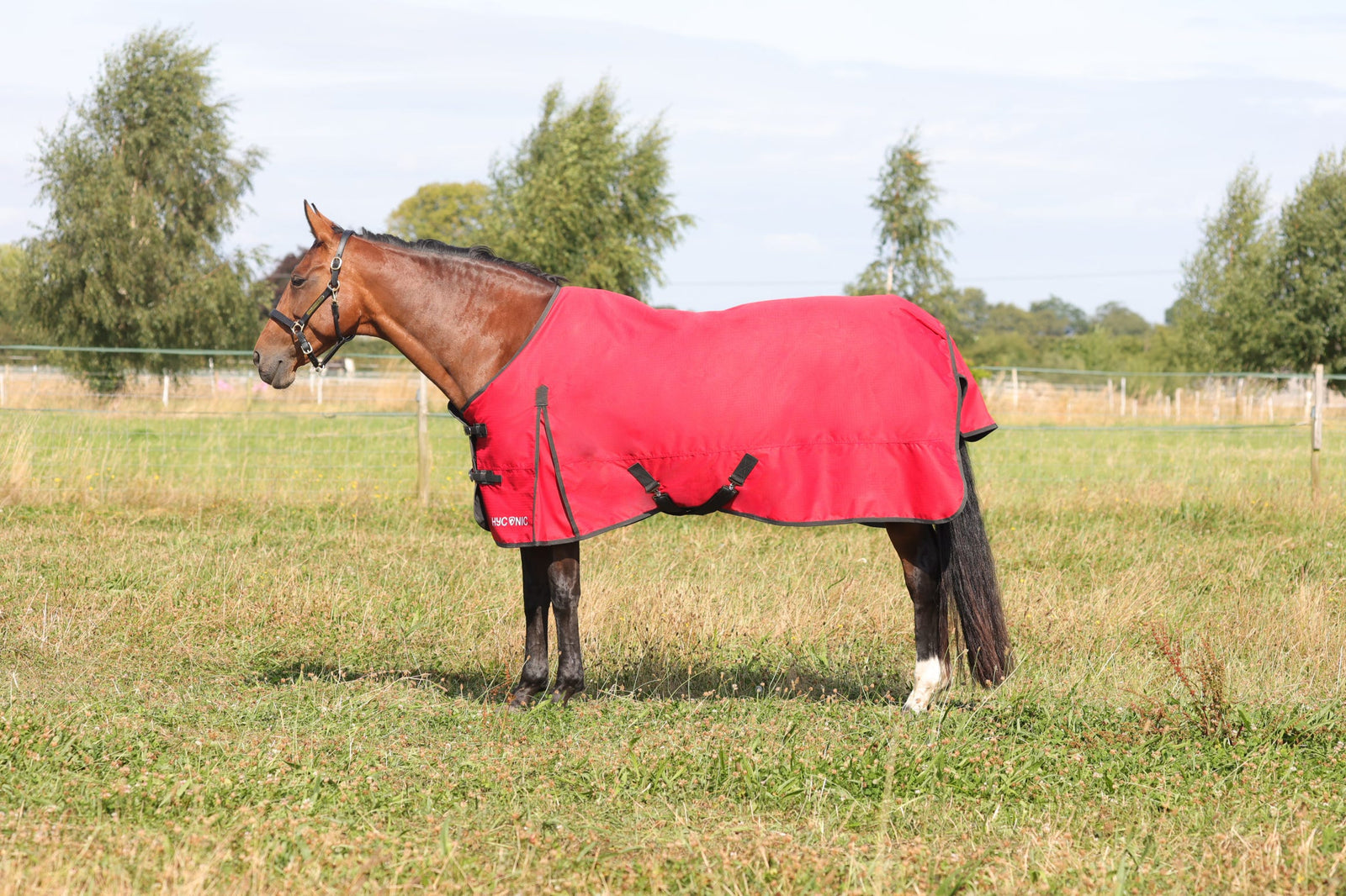 HyCONIC 200g Turnout Rug