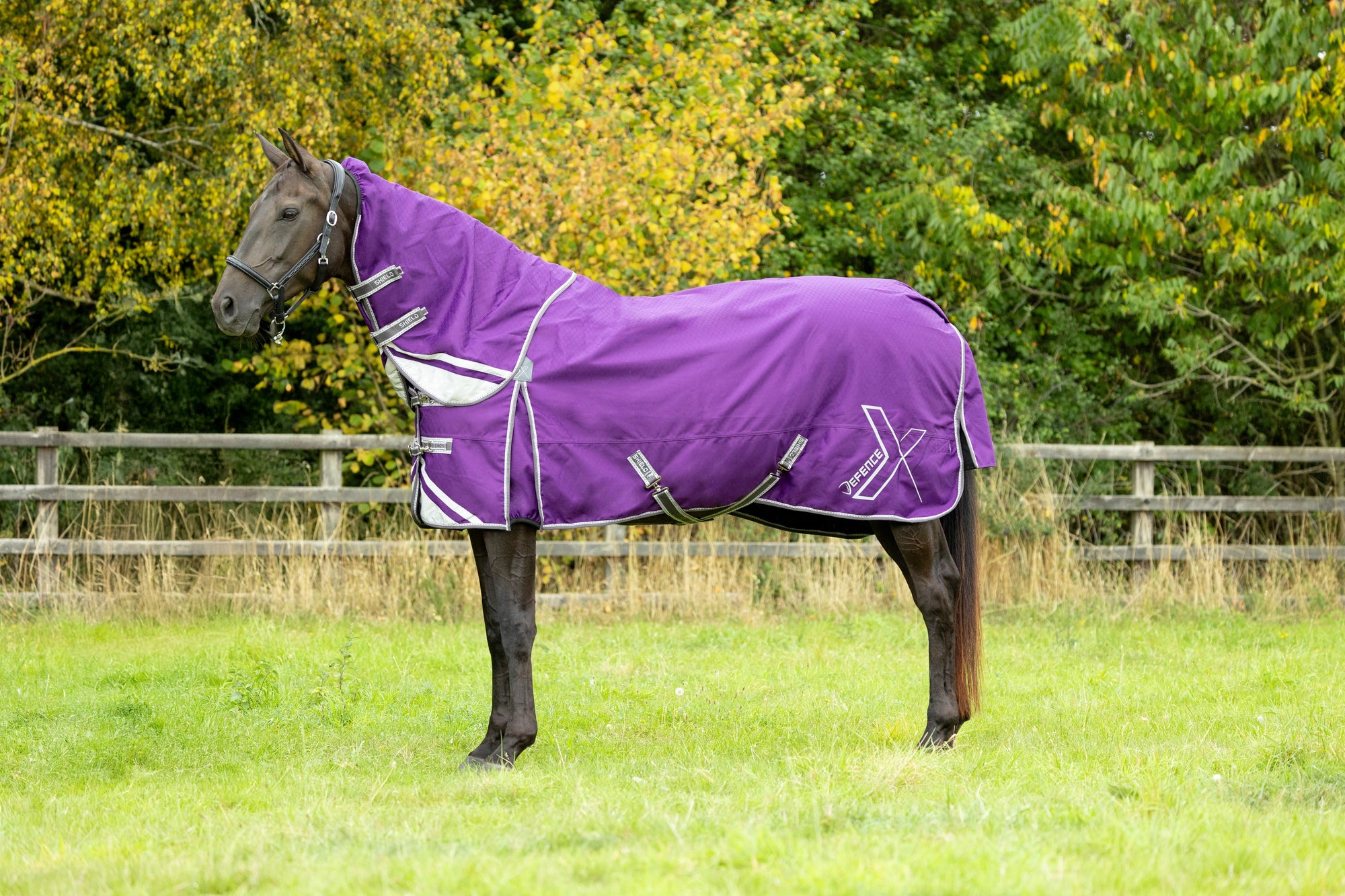 DefenceX Shield 100g Turnout Rug with Detachable Neck